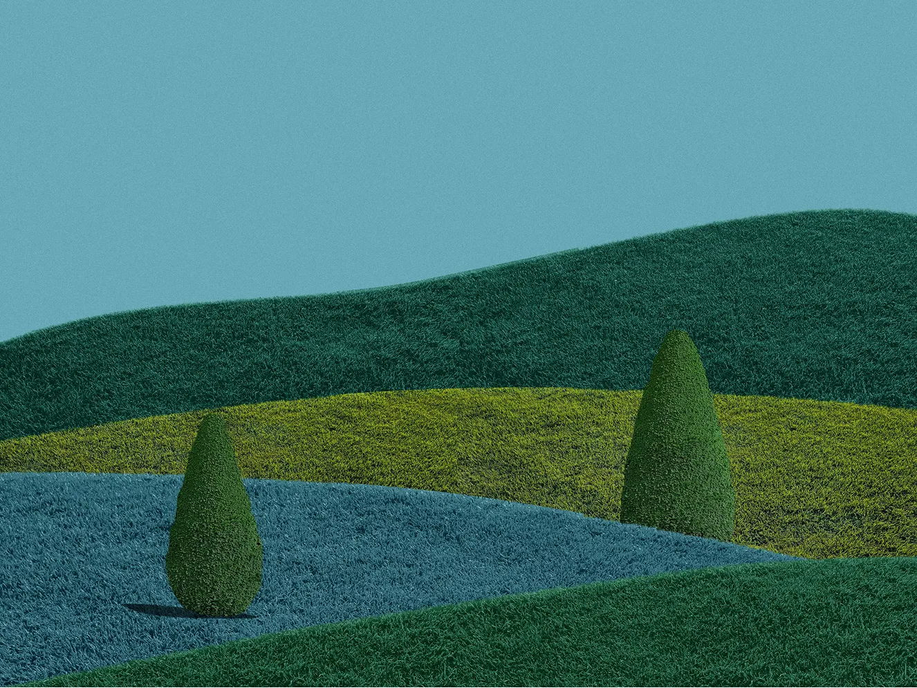 01 | PITAKA × Accidentally Wes Anderson - Forest AWA landscape