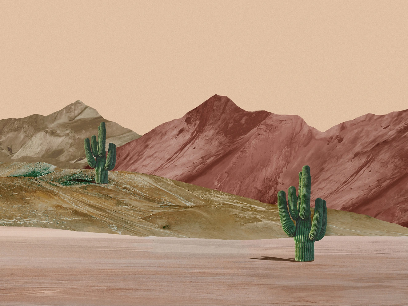 02 | PITAKA × Accidentally Wes Anderson - Canyon AWA landscape