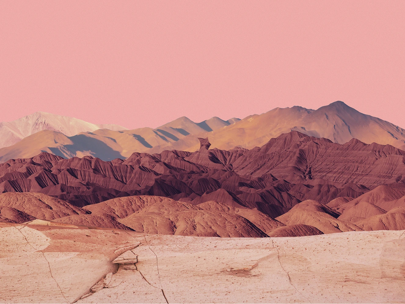 03 | PITAKA × Accidentally Wes Anderson - AWA landscape