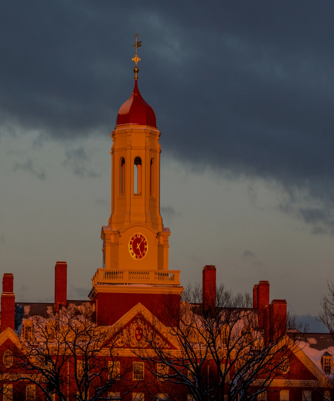 PITAKA's Harvard University Series Phone Case