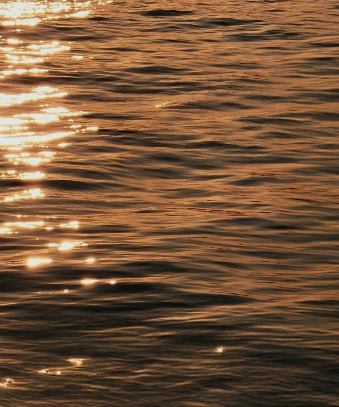 Moment · Golden Glint