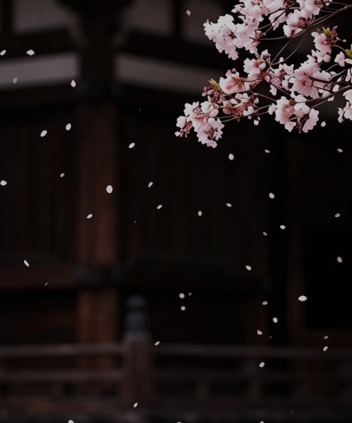 Moment · Midnight Black