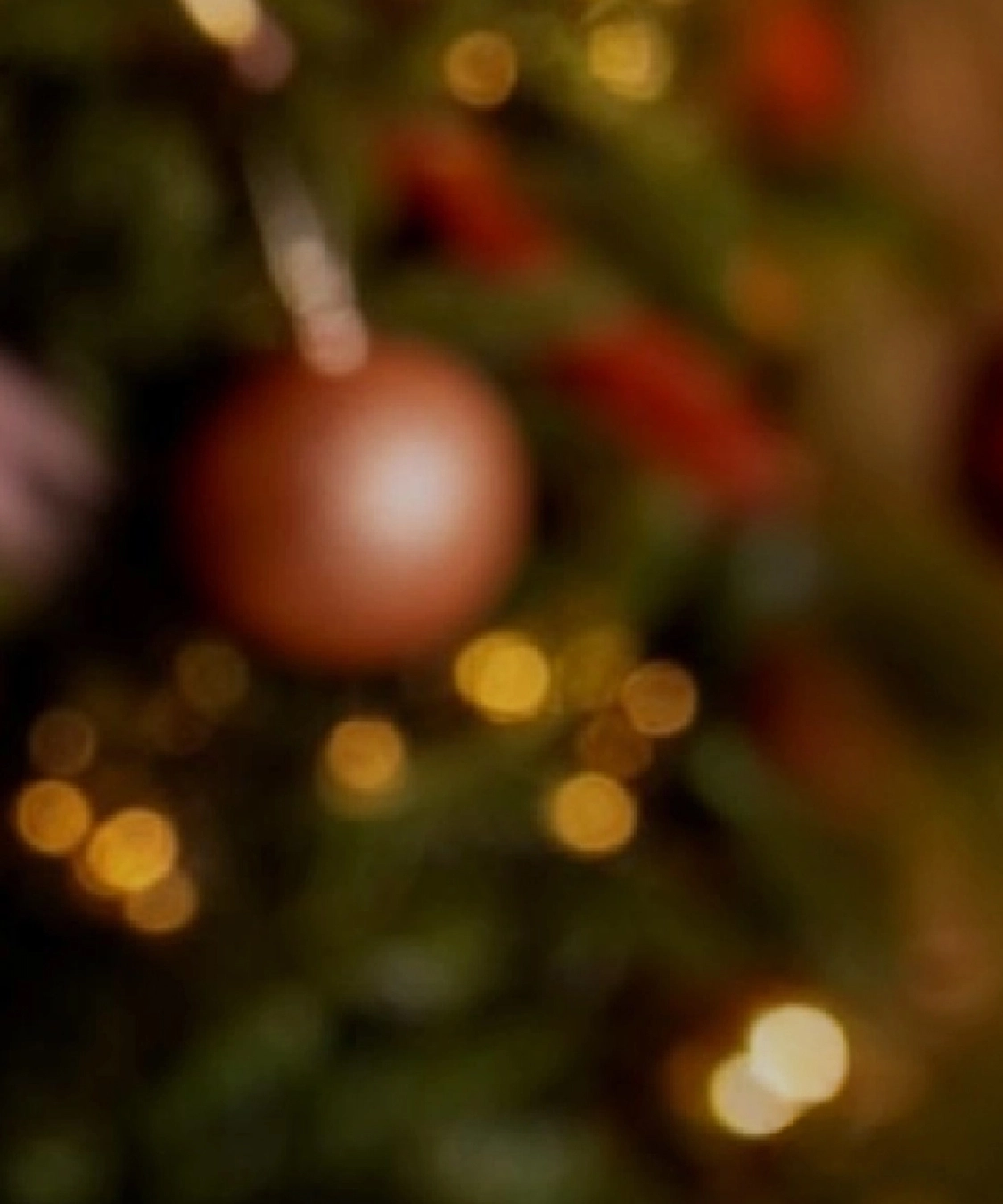 PITAKA Festive Collection
