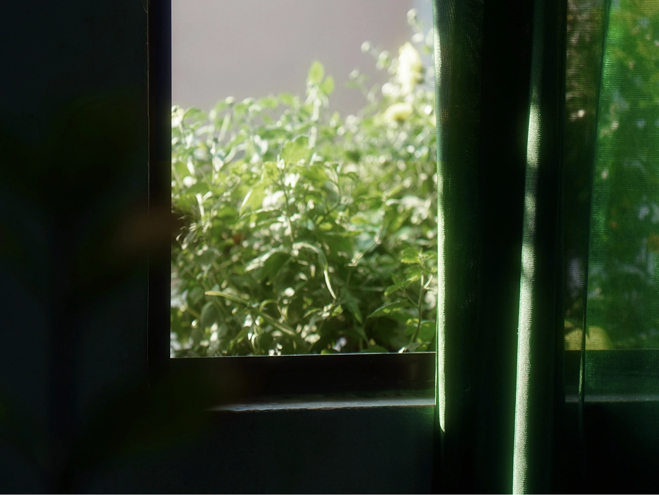 02 | Forest Dawn Flora in Grid landscape