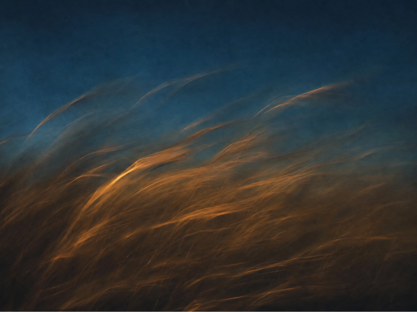 03 | Berlin Nocturne Wind Over Wheat landscape